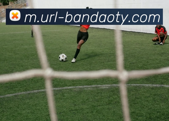 半岛体育APP 高清赛事图